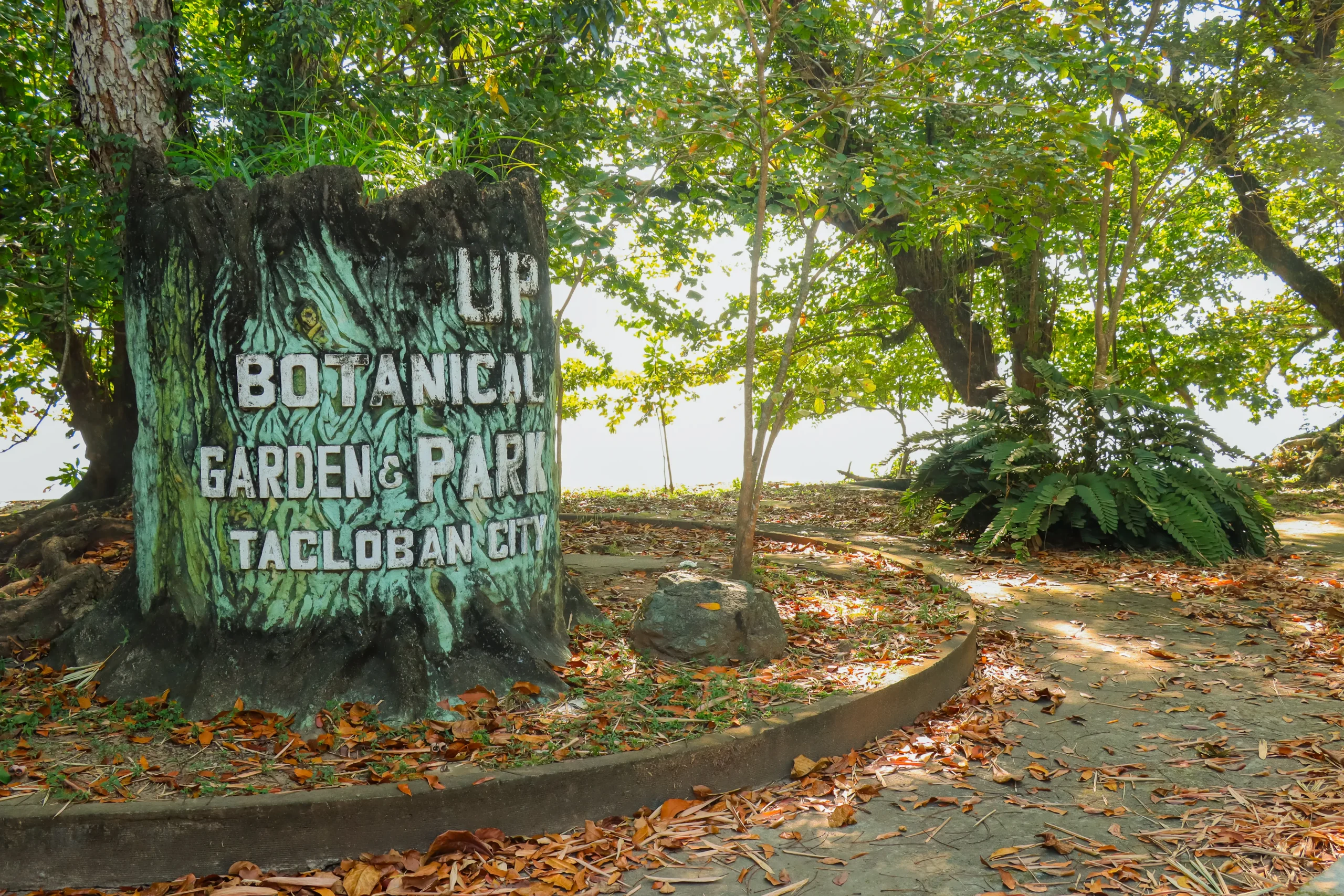 Green Spaces at UP Tacloban