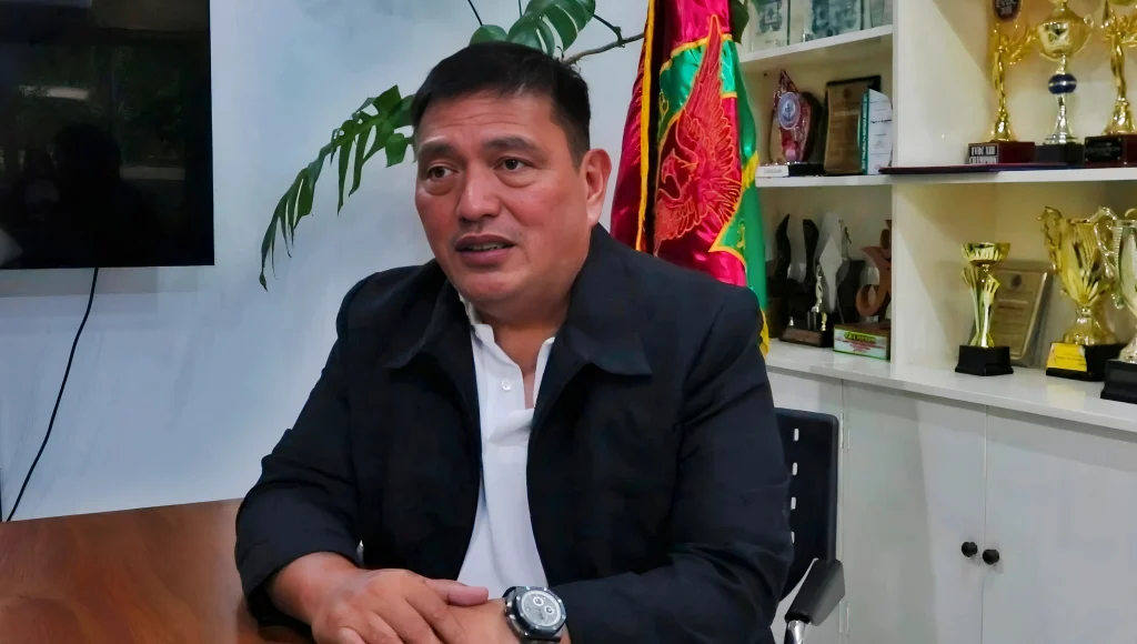 Dan Stephen Palami (Class of 1991) Chairman, Center for the Development of Sustainable Communities for Progress, Inc. President, St. Therese Educational Foundation of Tacloban Inc. (STEFTI)